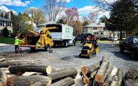 Leaf Removal in Summit View, WA